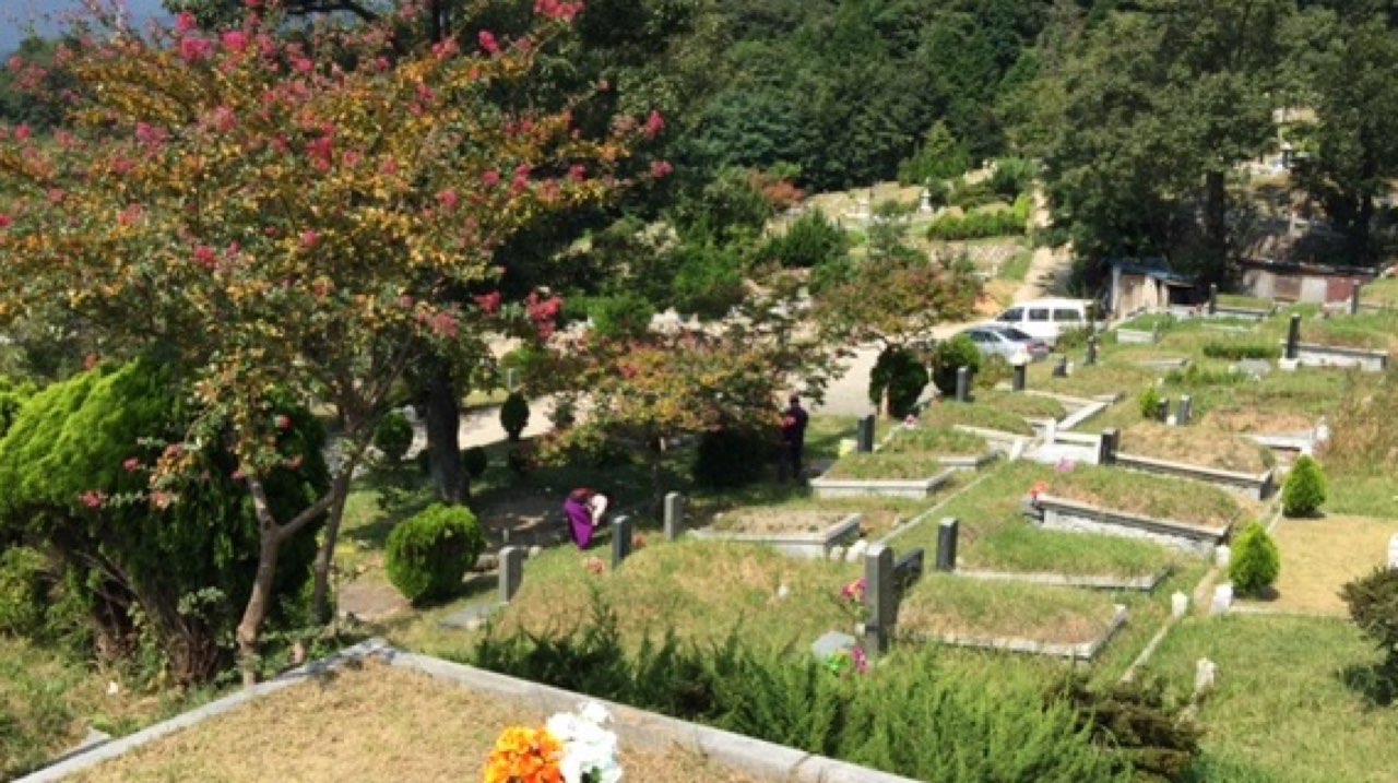 백운공원묘원 제1묘원 시설 사진 (출처: e하늘 장사정보시스템)