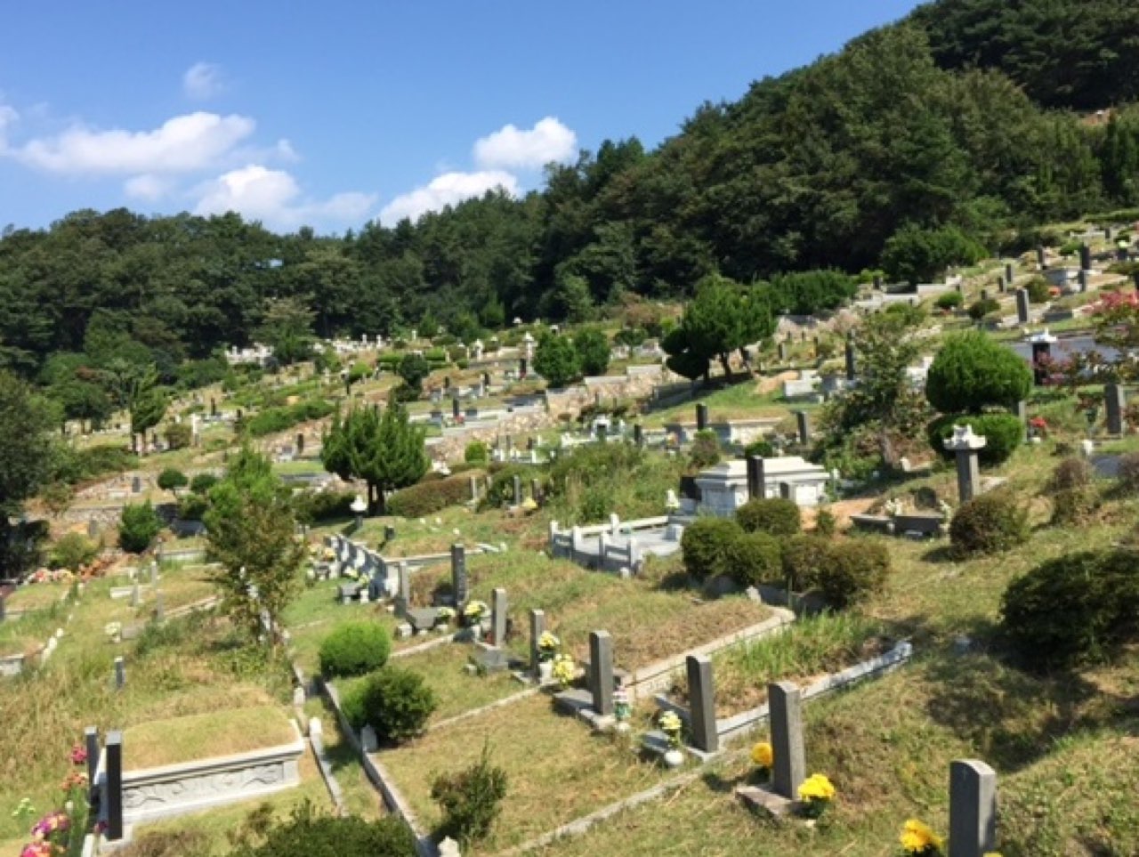 백운공원묘원 제1묘원 시설 사진