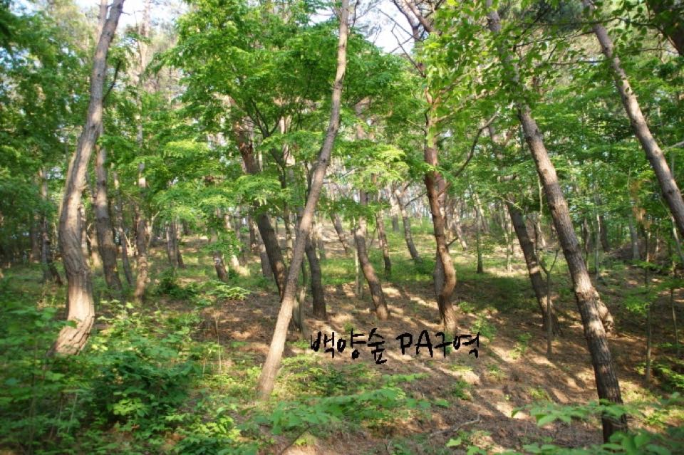 백양사 수목장 시설 사진 (출처: e하늘 장사정보시스템)