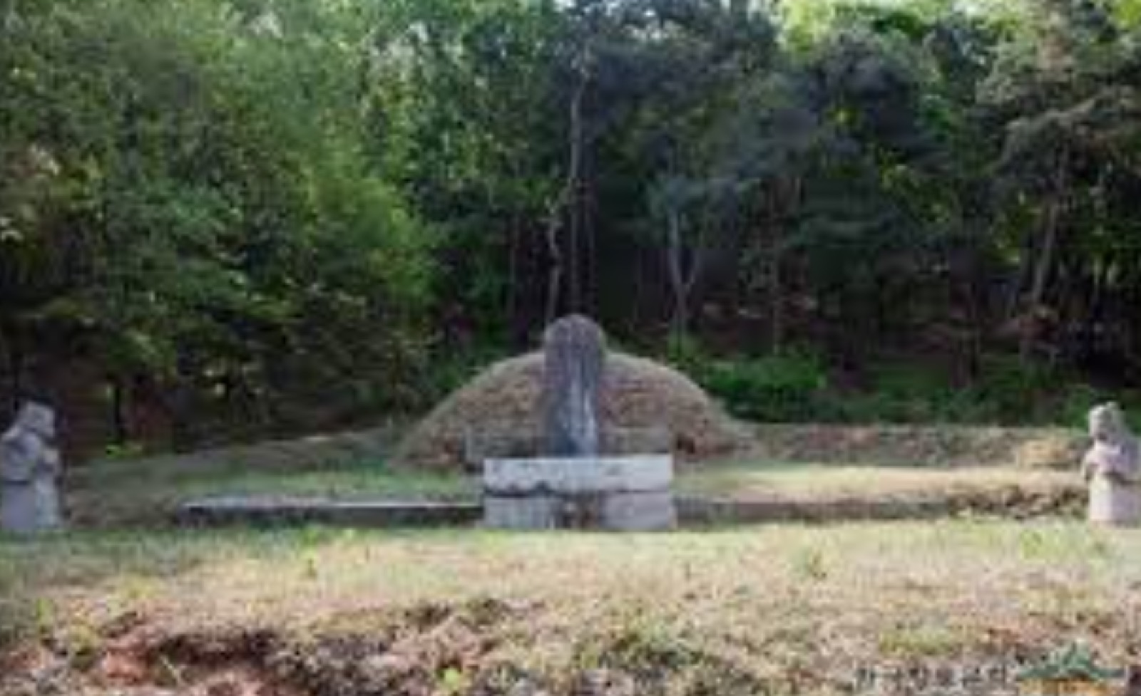 비암리공설묘지 시설 사진 (출처: e하늘 장사정보시스템)