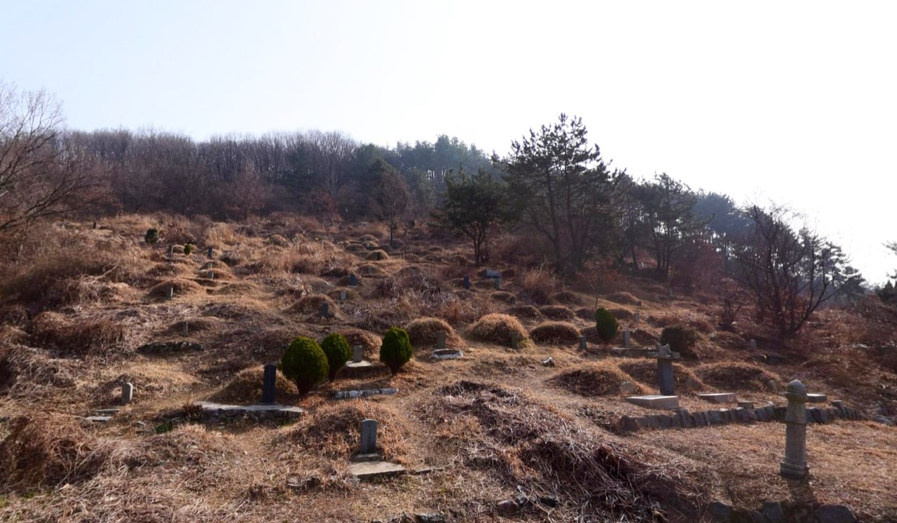 창원시립제1공설묘지 시설 사진 (출처: e하늘 장사정보시스템)