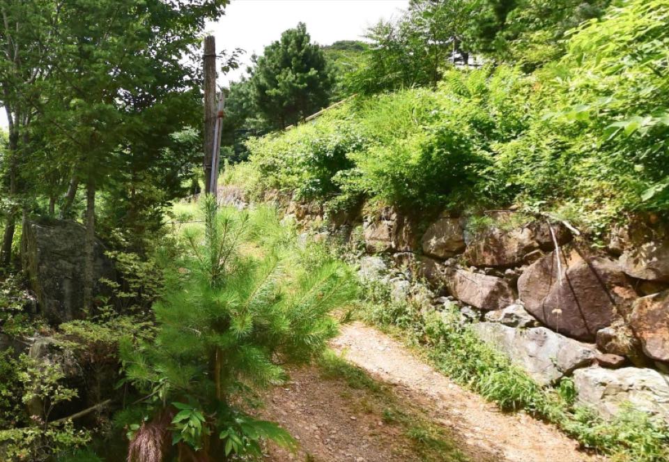 천불사 수목장 시설 사진 (출처: e하늘 장사정보시스템)
