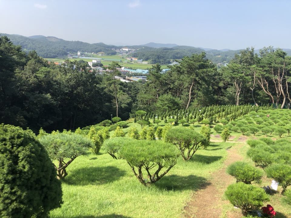 청솔수목장 시설 사진 (출처: e하늘 장사정보시스템)