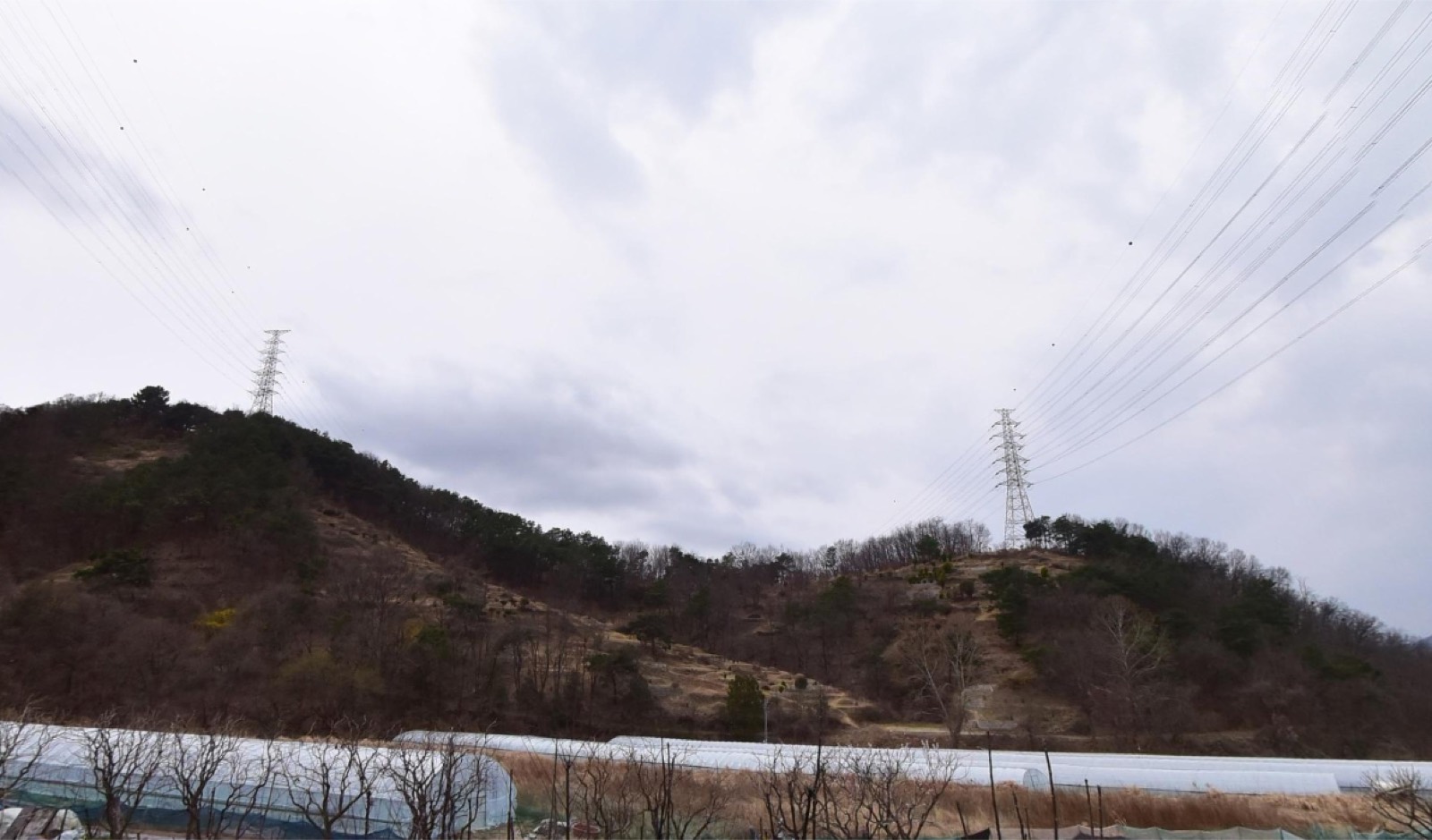 대구칠곡교회묘지 시설 사진 (출처: e하늘 장사정보시스템)