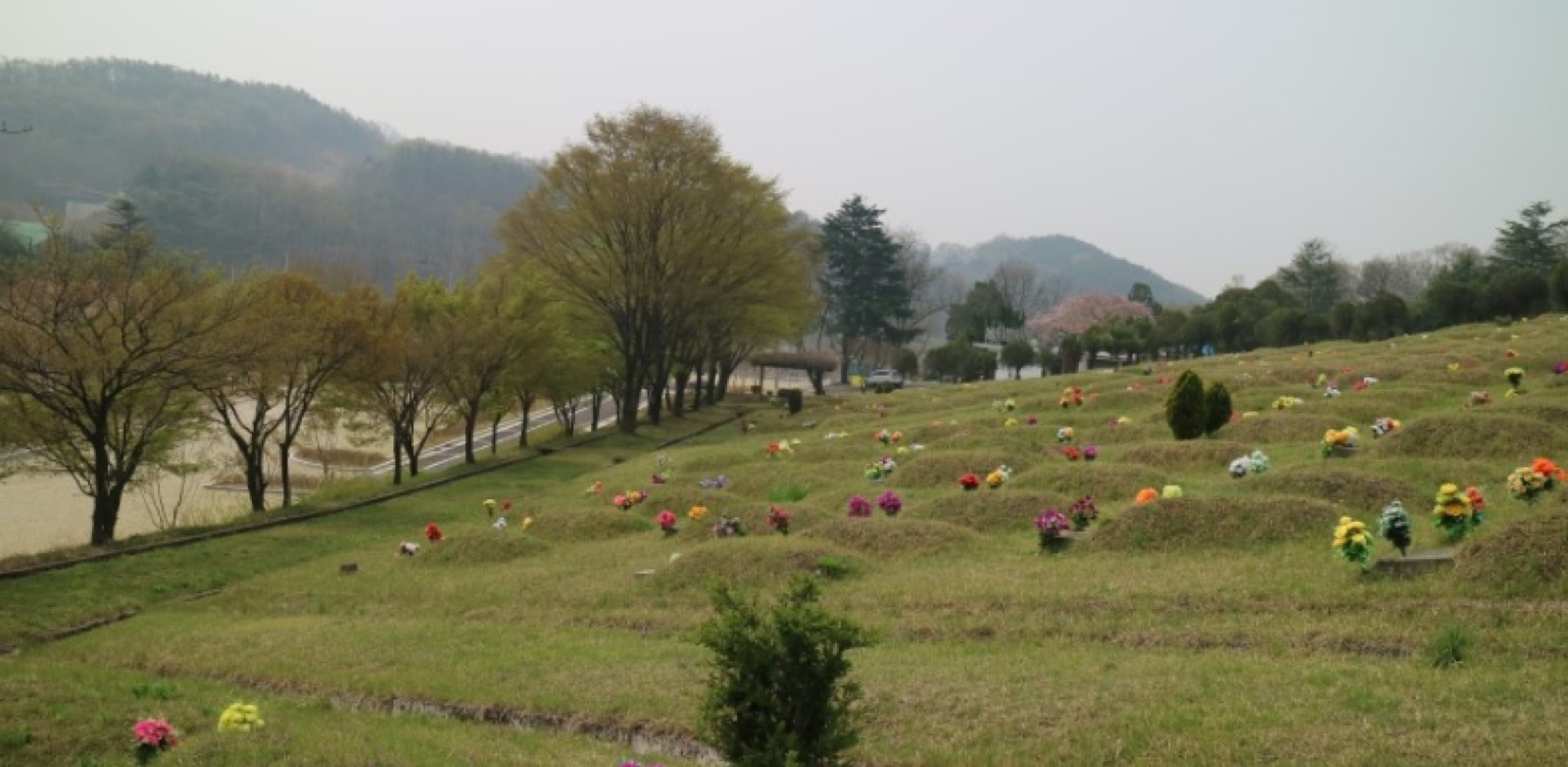 대구공원 시설 사진 (출처: e하늘 장사정보시스템)