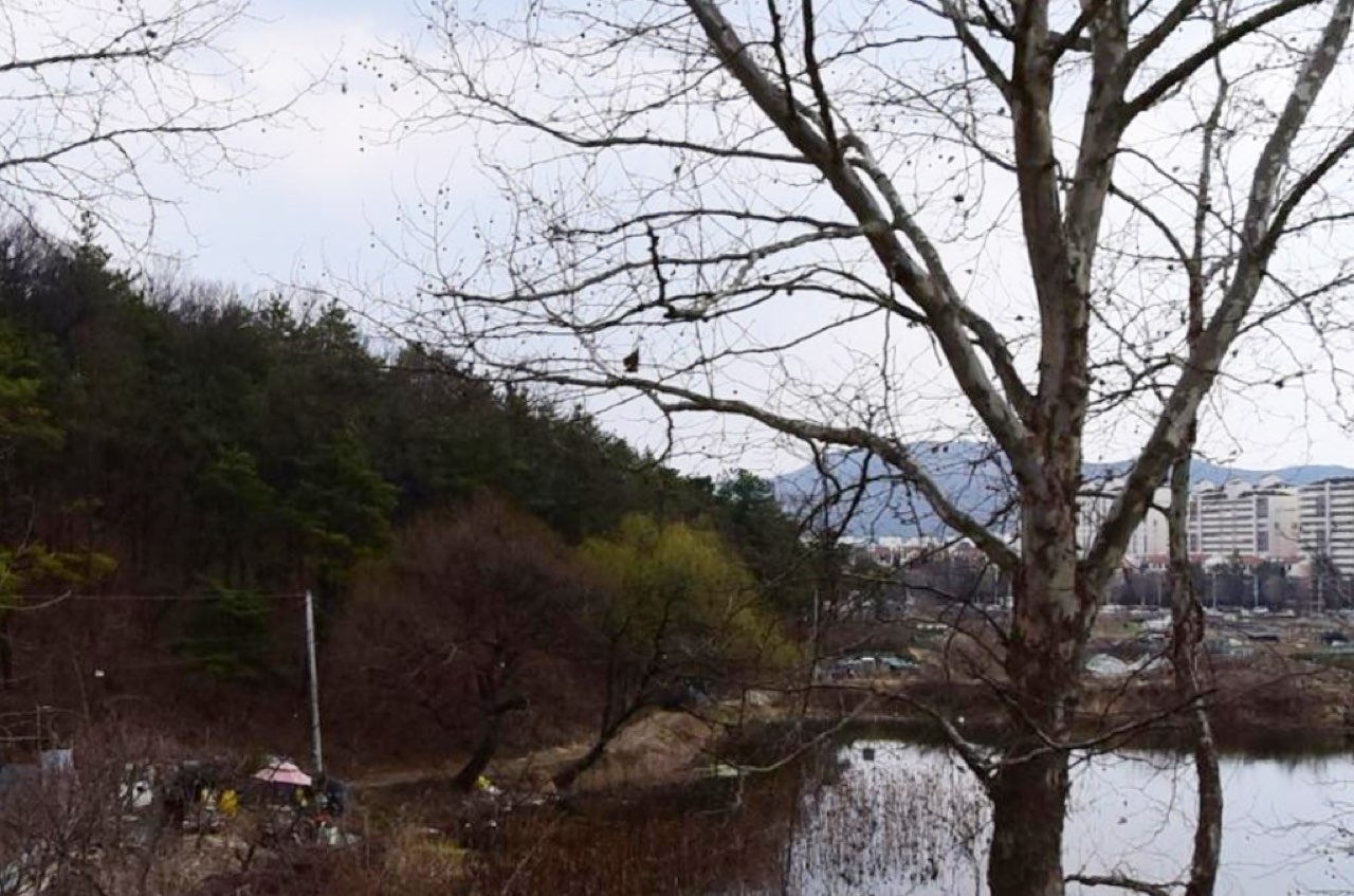 대구중부교회묘지 시설 사진 (출처: e하늘 장사정보시스템)