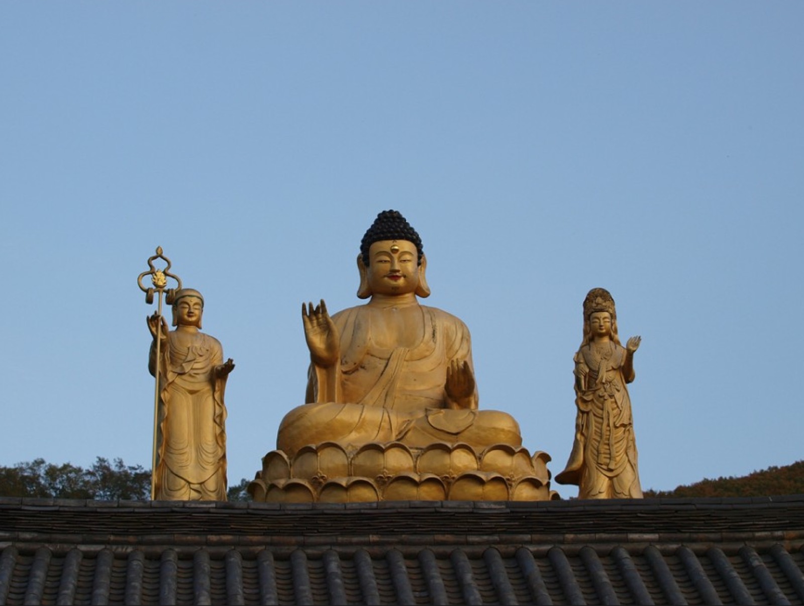 대국사 시설 사진 (출처: e하늘 장사정보시스템)