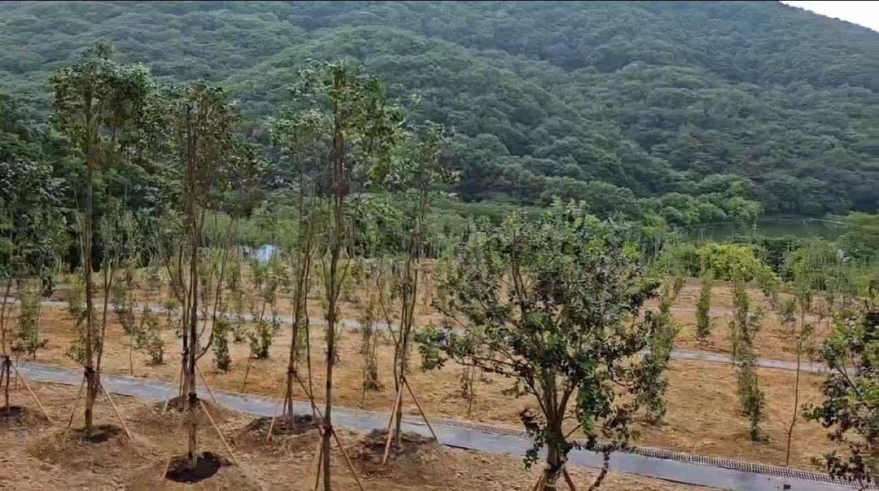 대한불교조계종 용천사 시설 사진 (출처: e하늘 장사정보시스템)