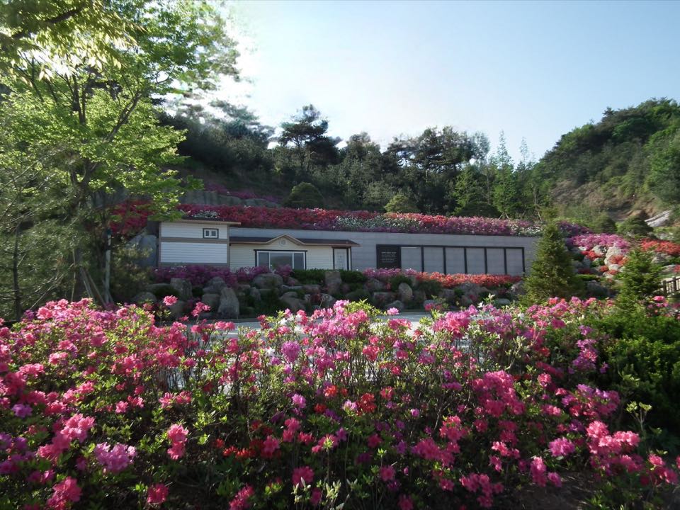 기독교대한성결교회 안성교회 자연장지 시설 사진 (출처: e하늘 장사정보시스템)