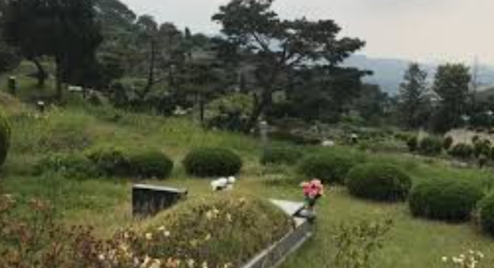 구암리공설묘지 시설 사진 (출처: e하늘 장사정보시스템)