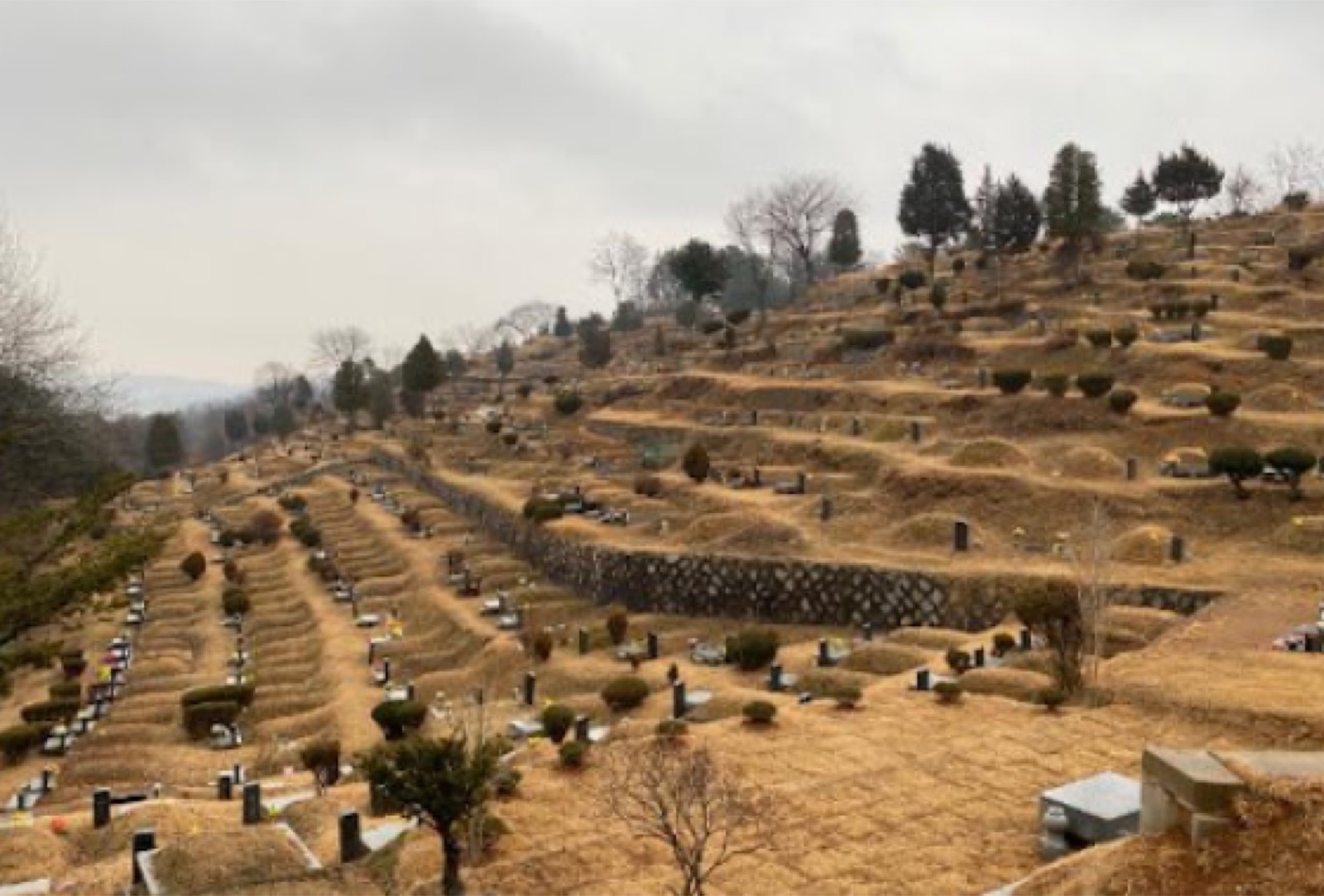 구미시옥계공설묘지(만장) 시설 사진 (출처: e하늘 장사정보시스템)