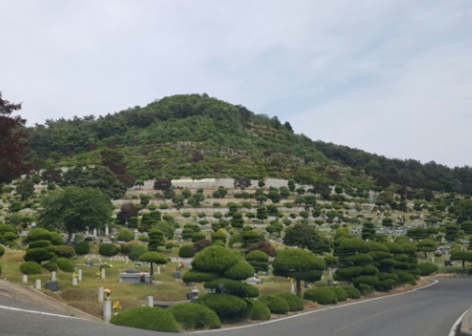 군산시공설묘지 시설 사진 (출처: e하늘 장사정보시스템)