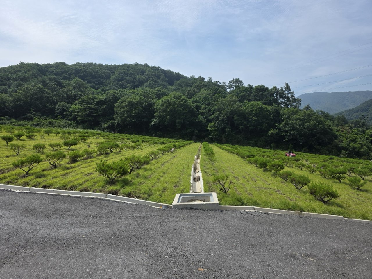 경각산 수목장 시설 사진 (출처: e하늘 장사정보시스템)