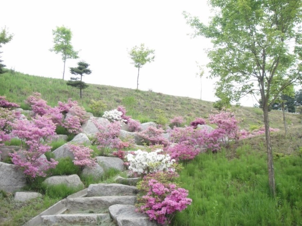 화천공원묘원 자연장지 시설 사진 (출처: e하늘 장사정보시스템)