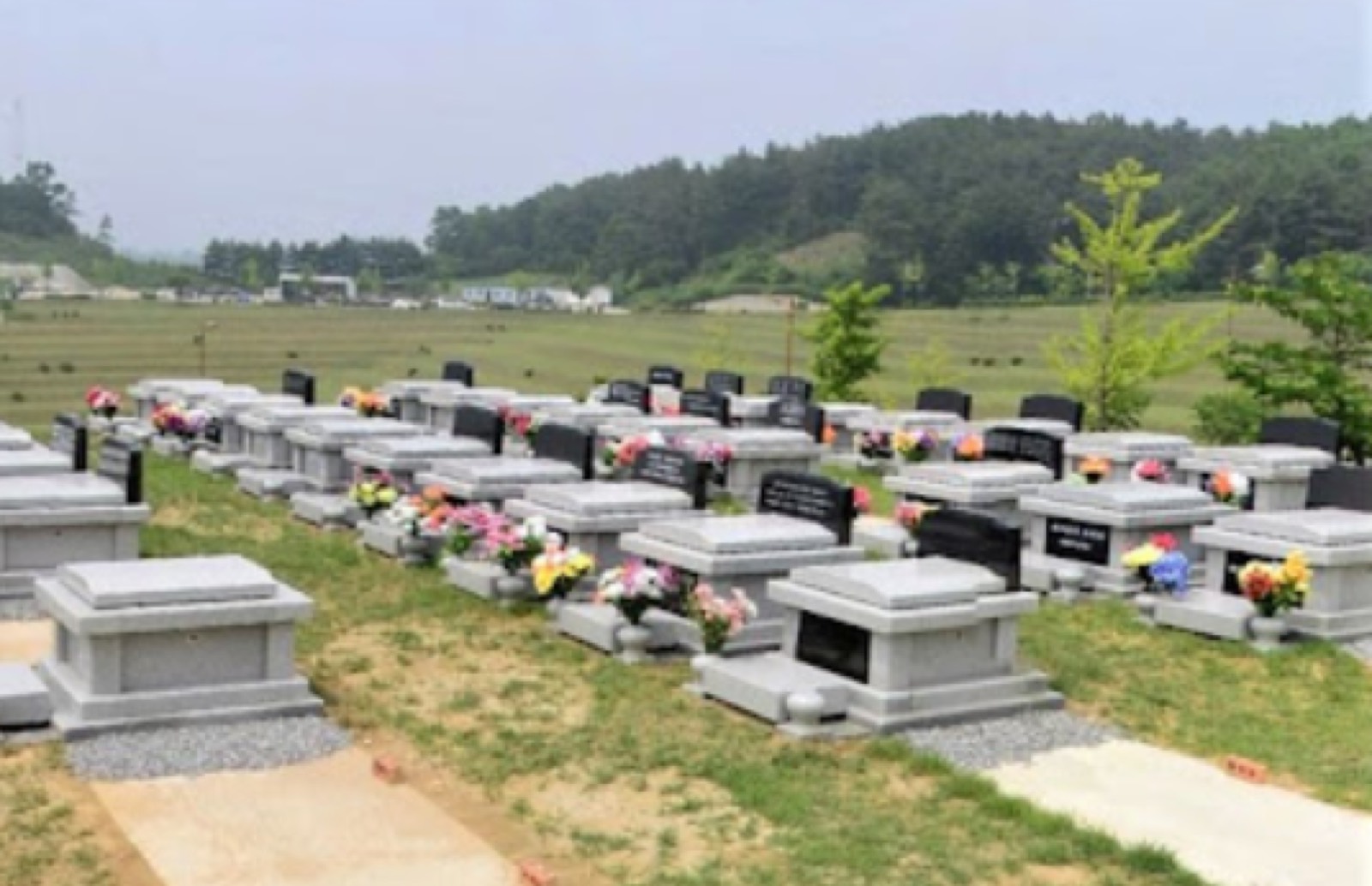 화산연정공설묘지 시설 사진 (출처: e하늘 장사정보시스템)
