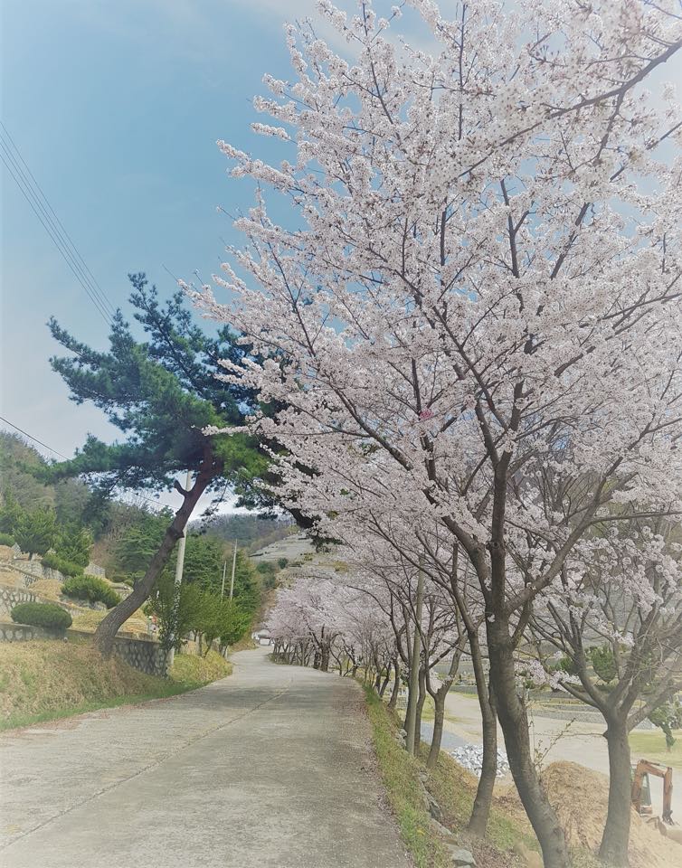 (재)학명묘원 시설 사진 (출처: e하늘 장사정보시스템)