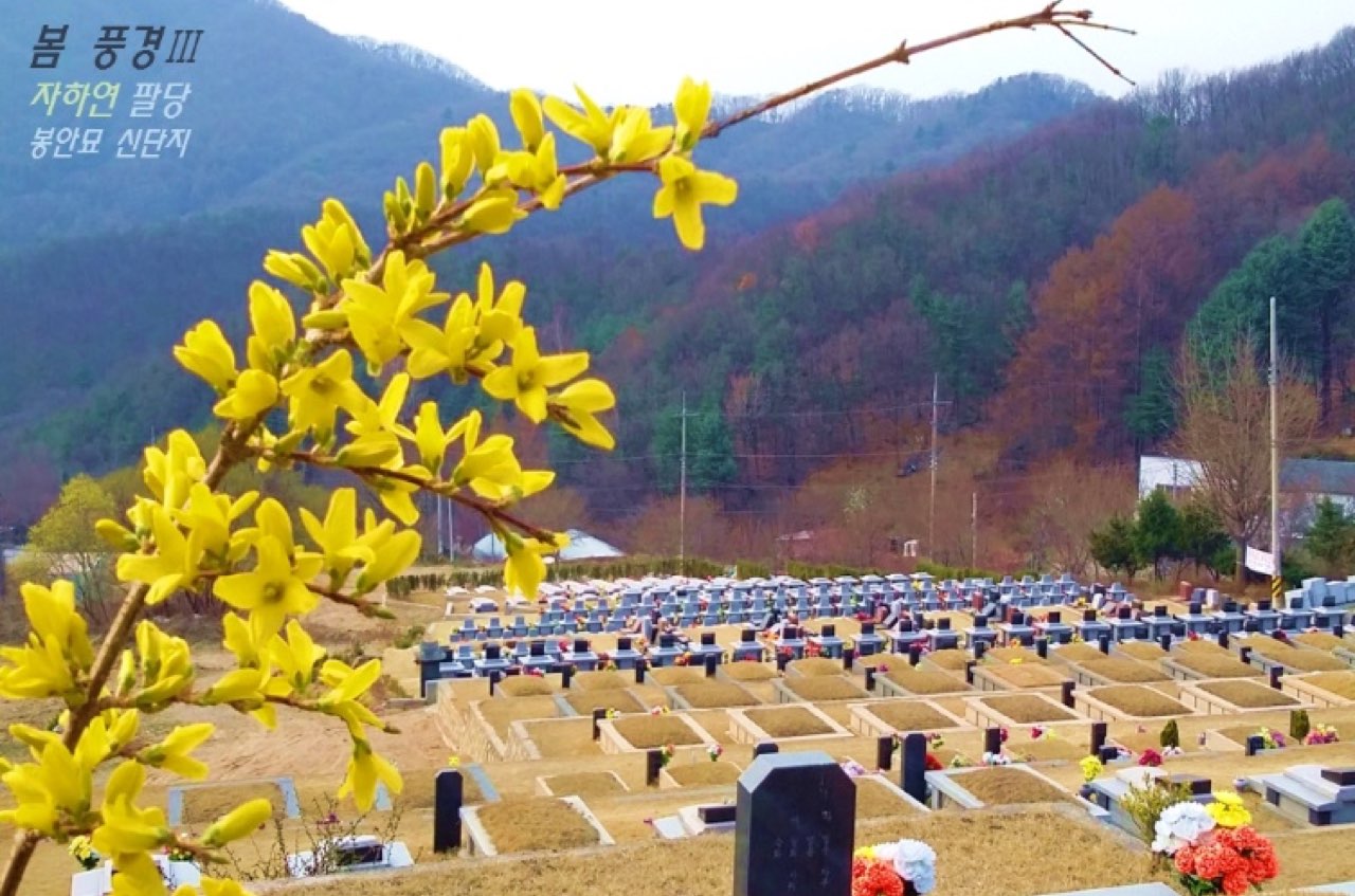 (재)자하연팔당(봉안) 시설 사진