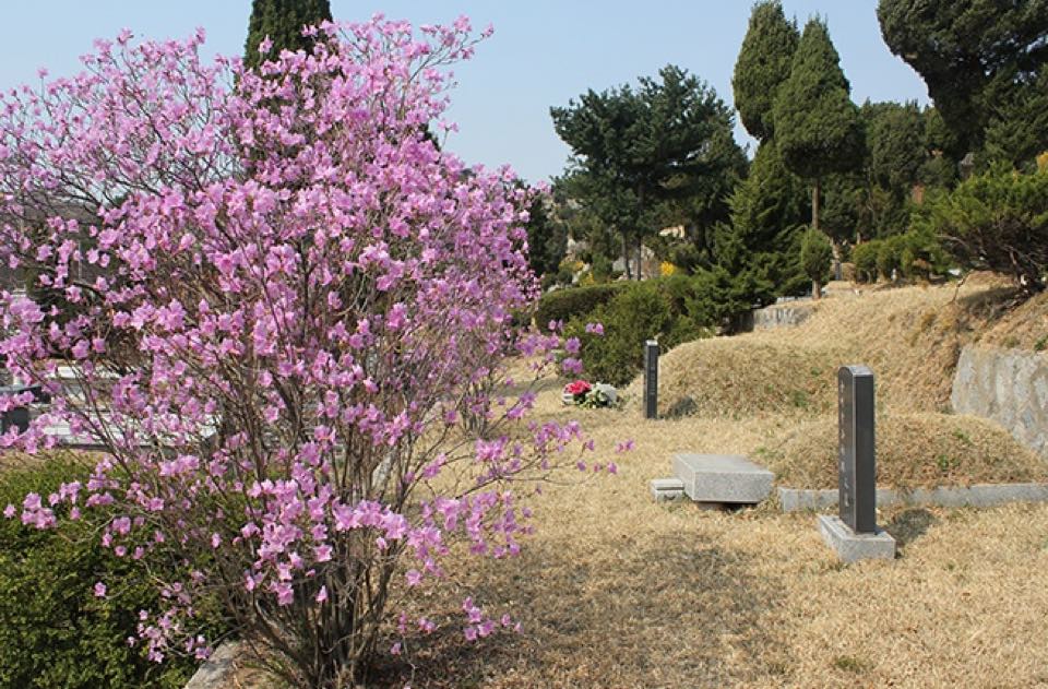 (재)운경공원묘원 시설 사진 (출처: e하늘 장사정보시스템)