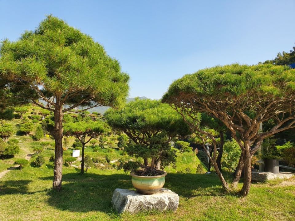 정안수목장 시설 사진 (출처: e하늘 장사정보시스템)