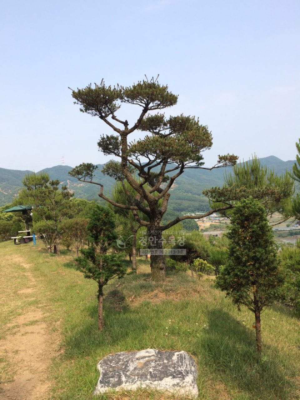 정안수목장 시설 사진 (출처: e하늘 장사정보시스템)