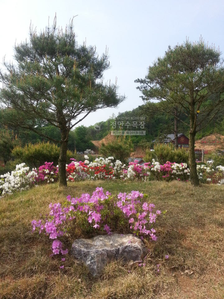 정안수목장 시설 사진 (출처: e하늘 장사정보시스템)