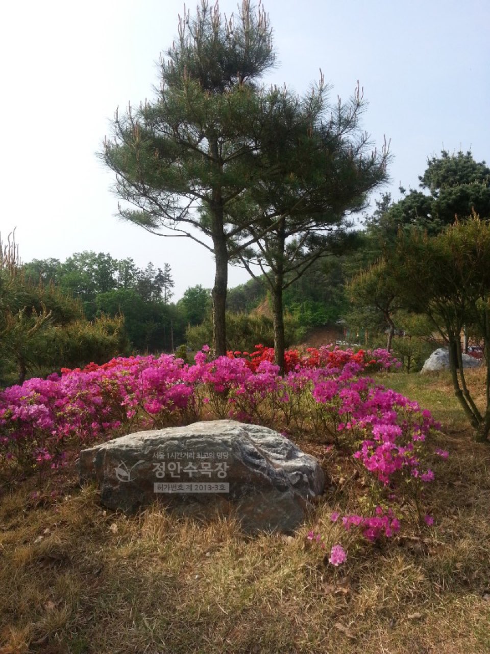 정안수목장 시설 사진