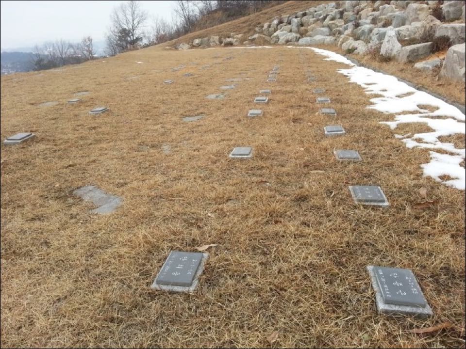 남부권공설묘지 자연장지 시설 사진 (출처: e하늘 장사정보시스템)