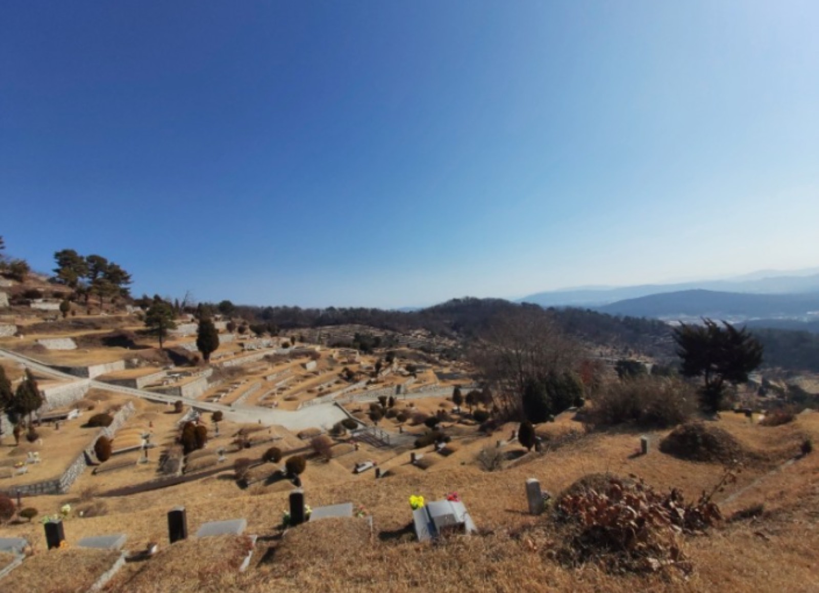 서울신흥교회 하늘계단수목장 시설 사진 (출처: e하늘 장사정보시스템)
