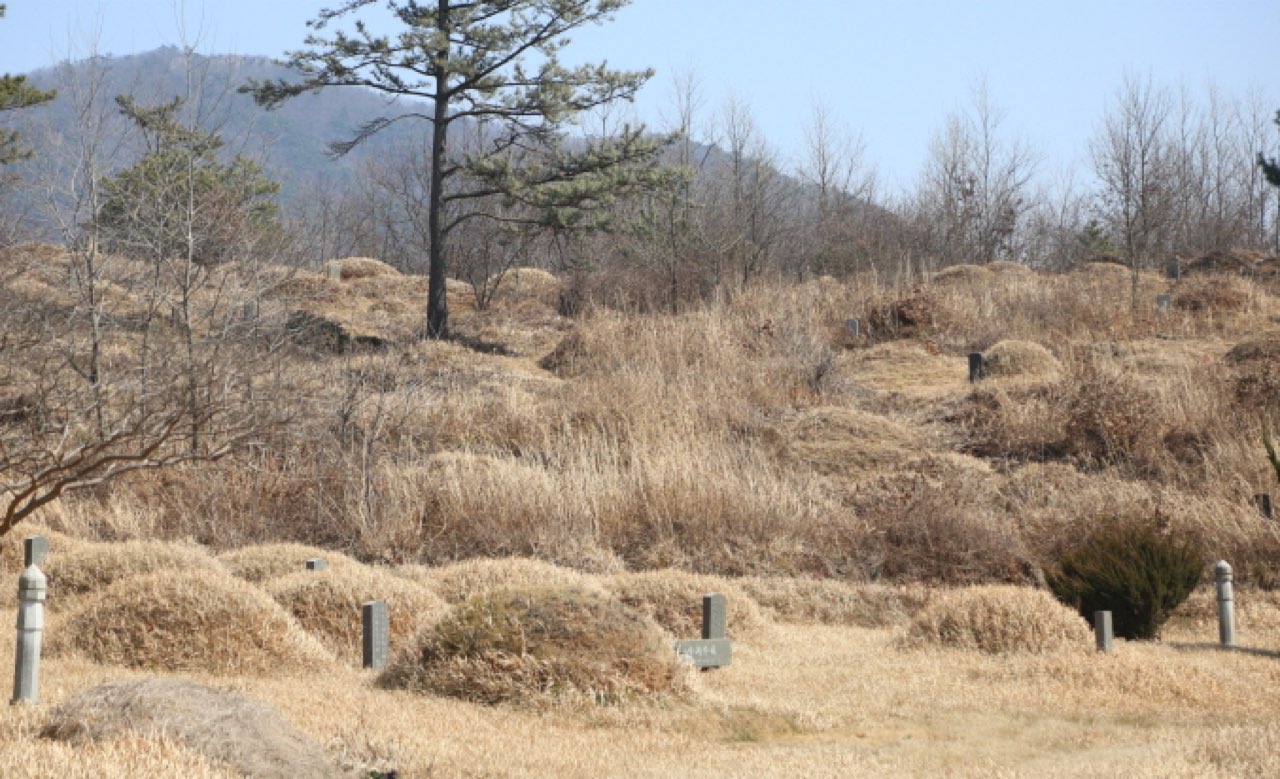 신암리공설묘지 시설 사진 (출처: e하늘 장사정보시스템)