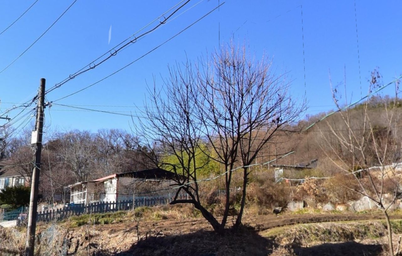 신정리공설묘지 시설 사진 (출처: e하늘 장사정보시스템)