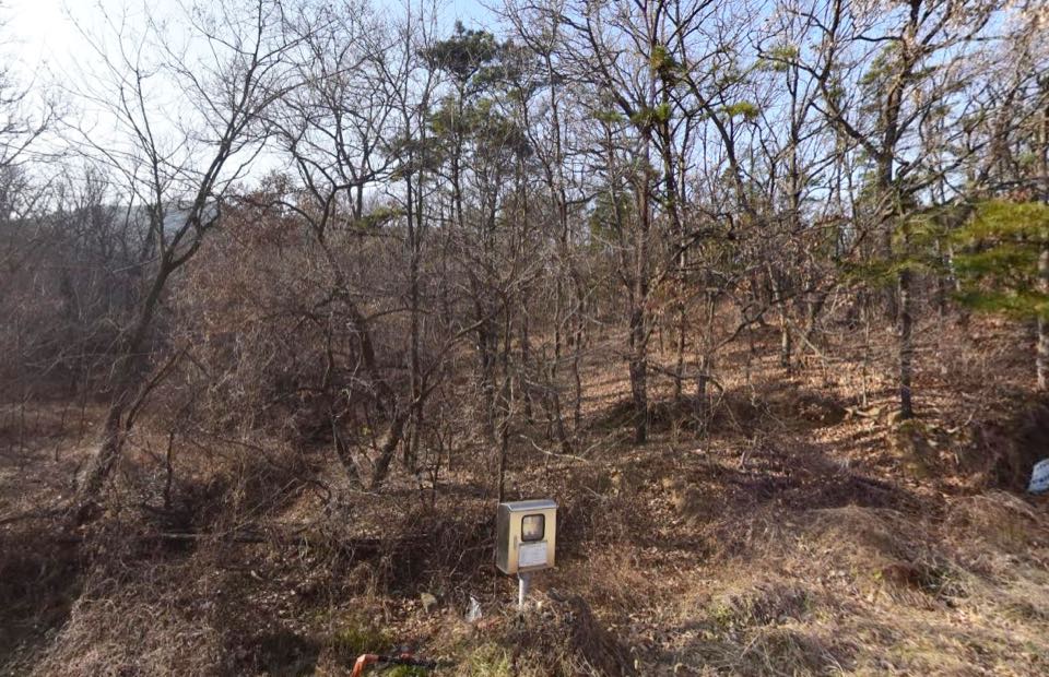 양오리공설묘지 시설 사진 (출처: e하늘 장사정보시스템)